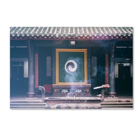 Philippe Hugonnard 'Yin Yang' Canvas Art,16x24